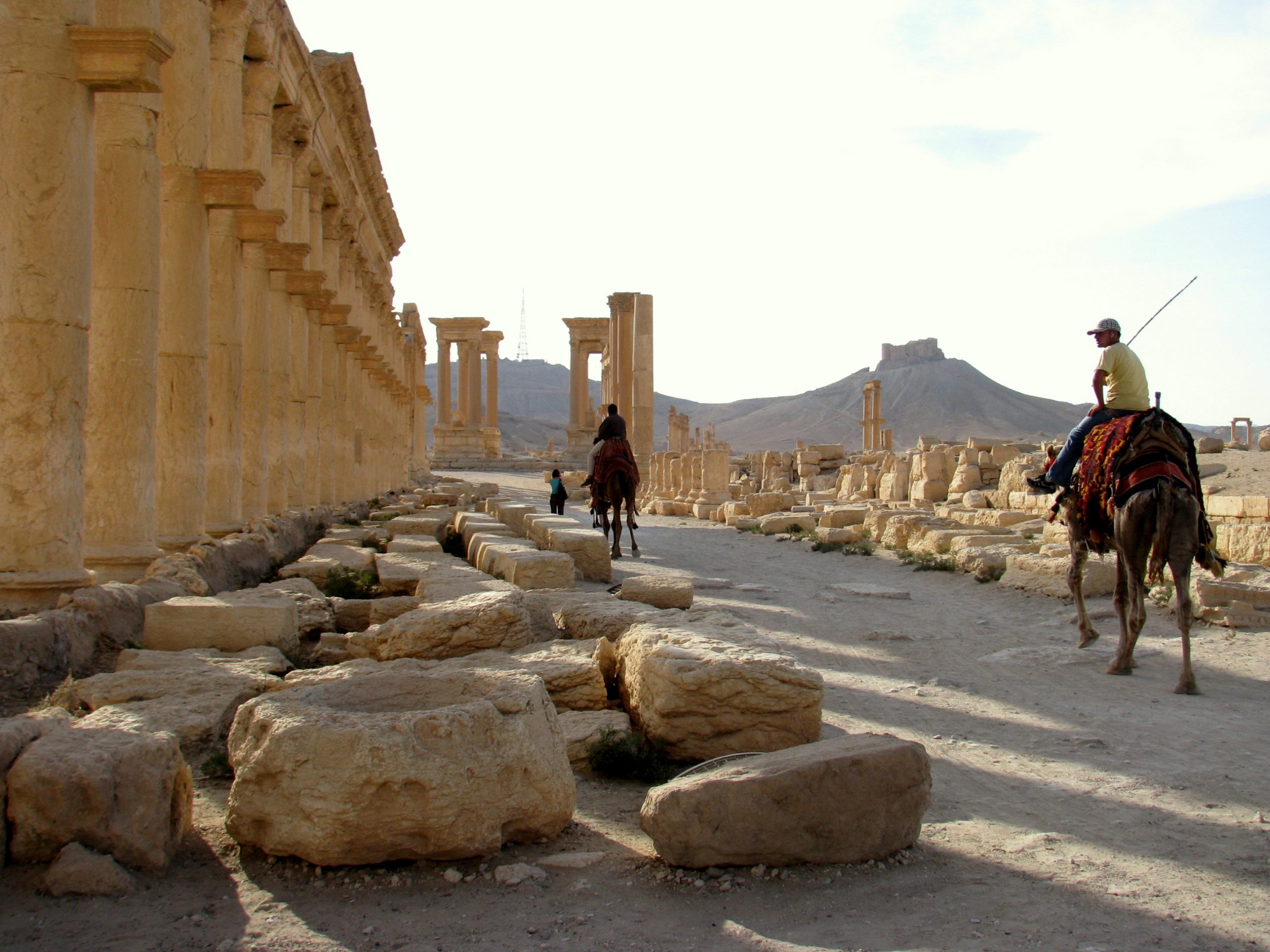 Palmyra Colonnade Glimpses of the World