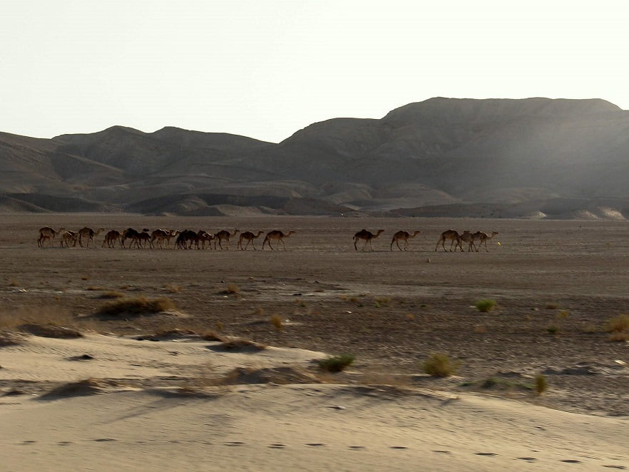 Jordan-desert-Glimpses-of-The-World