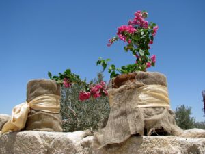 Jordan-travel-Mount-Nebo-Glimpses-of-The-World