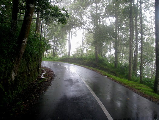 Travel-to-Bali-misty-road-Glimpses-of-The-World