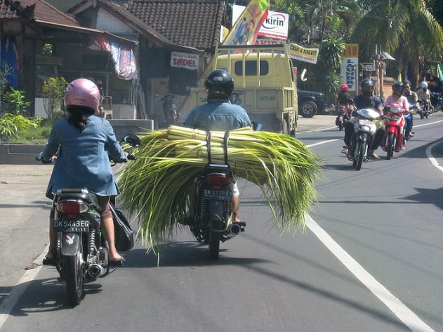 Bali-island-road-Glimpses-of-The-World