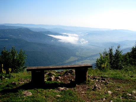 Serbia-travel-Tara-National-Park-Glimpses-of-The-World