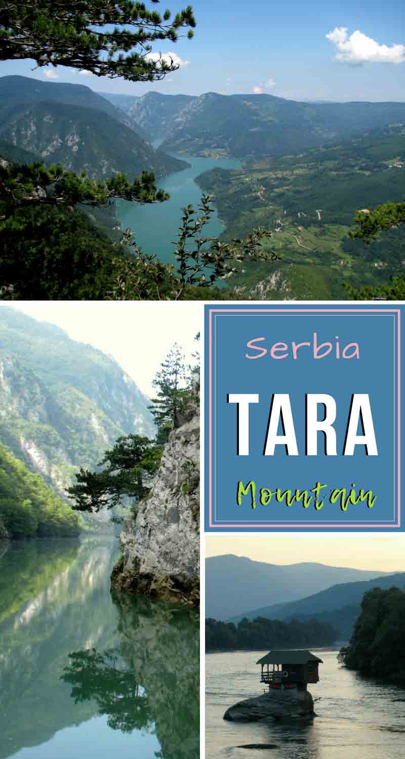 Serbia-trave-Tara-Mountain-Glimpses-of-The-World
