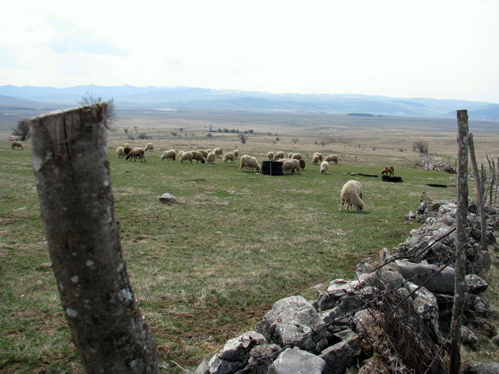 Pester-plateau-Serbia-Glimpses-of-the-World