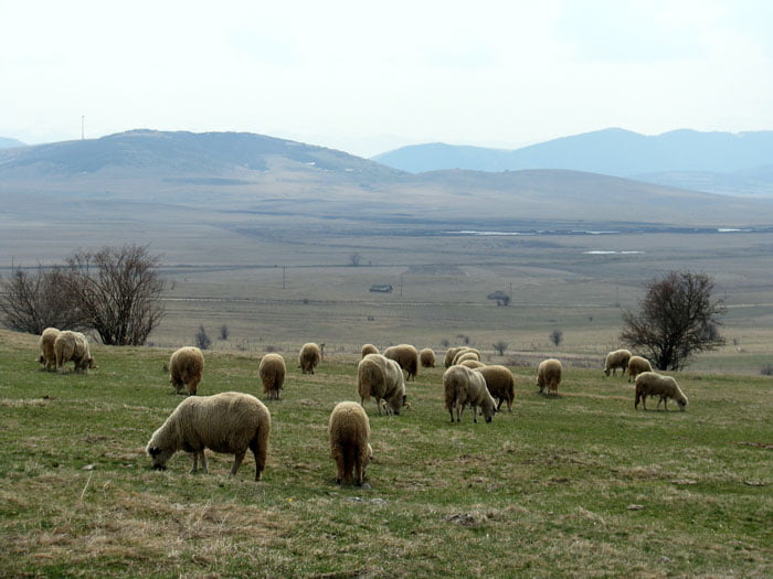 Pester-plateau-Serbia-Glimpses-of-the-World
