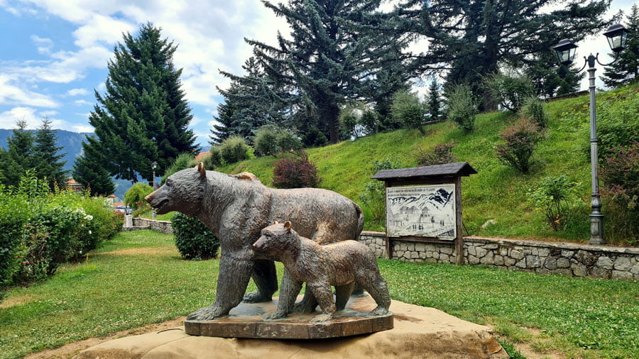 Bears Trekking Trail