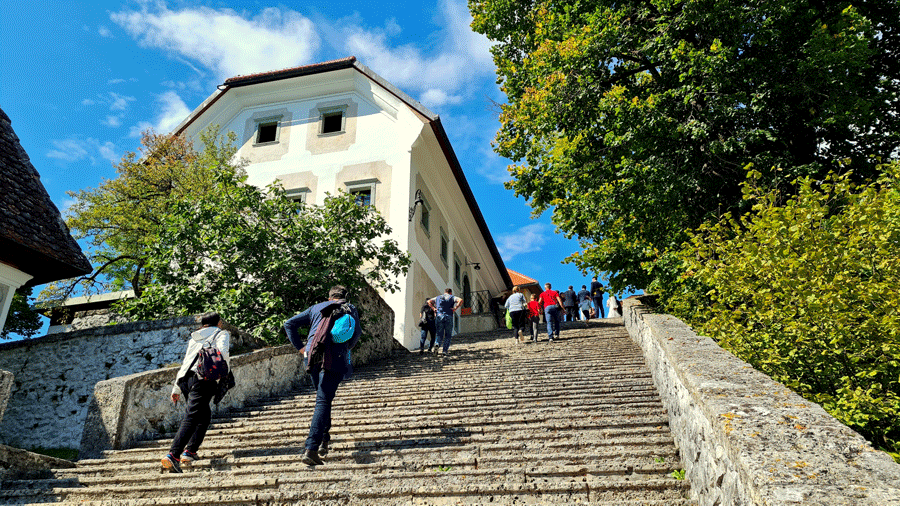 Bled Island stairs