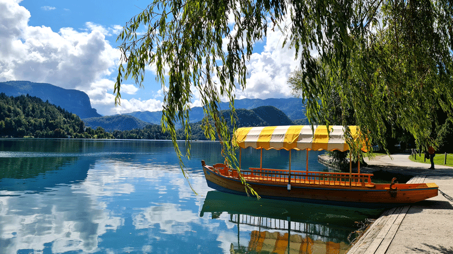 Traditional boat Lake Bled