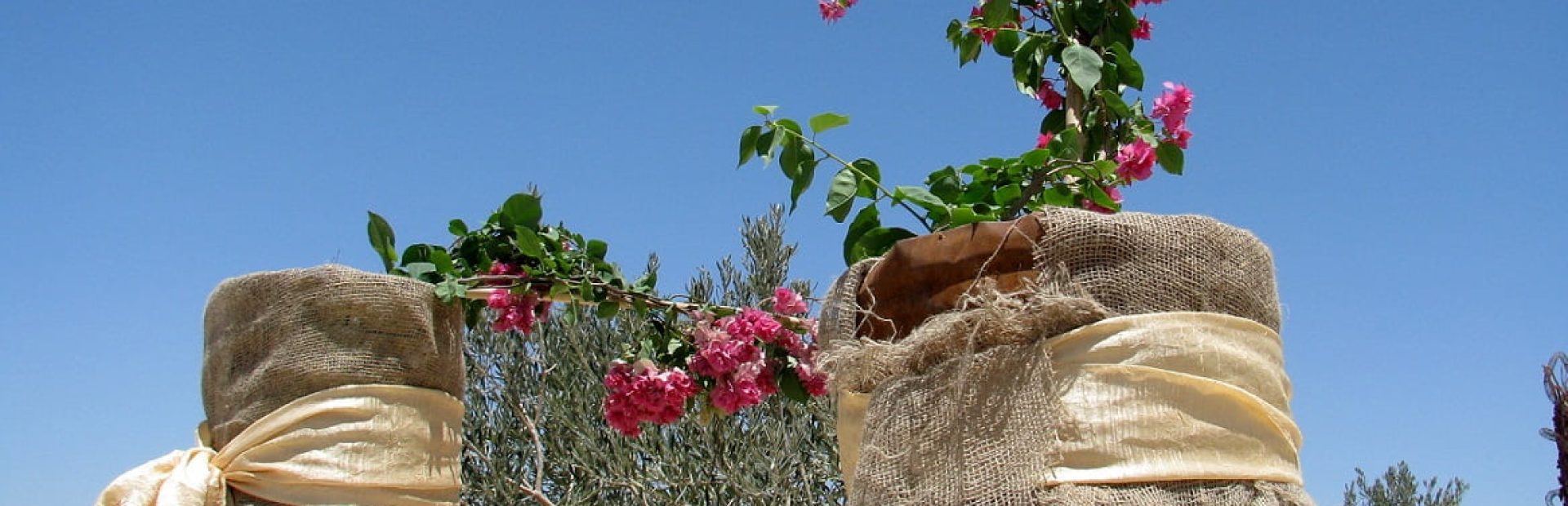 Jordan-travel-Mount-Nebo-Glimpses-of-The-World